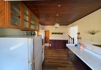 450 IMG 1351