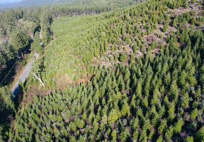 450 Photo Dec 04 2025 10 11 21 PM 16