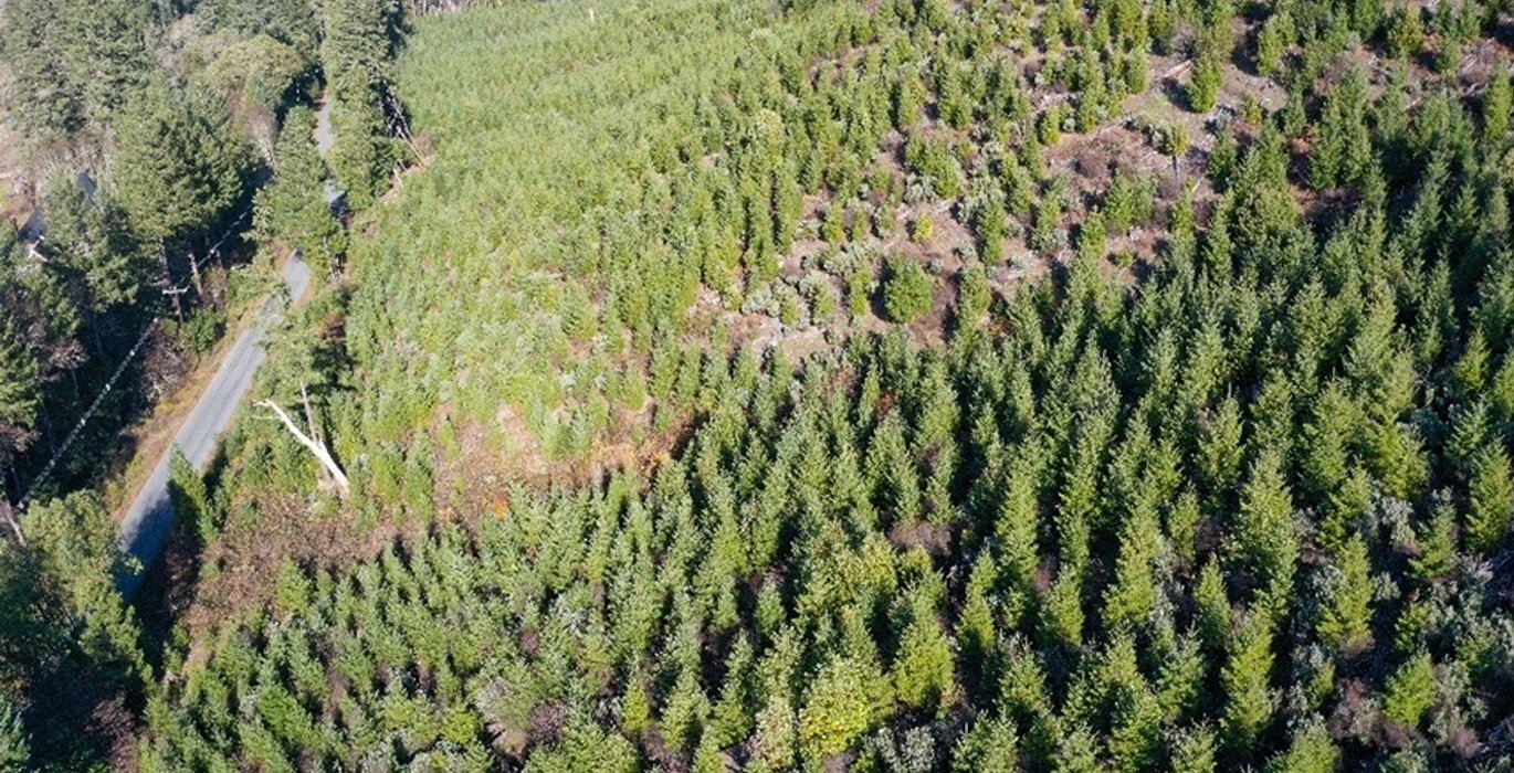 450 Photo Dec 04 2025 10 11 21 PM 16