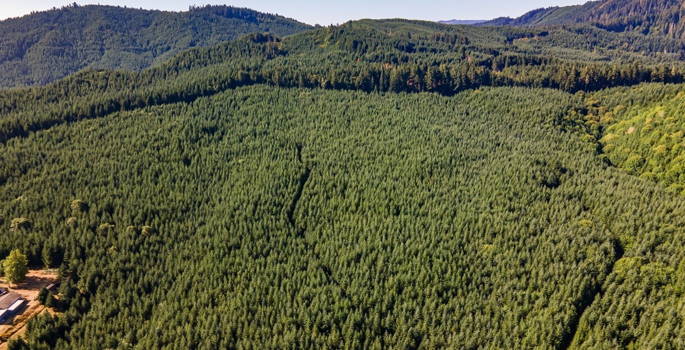 451 DJI 0995 HDR25
