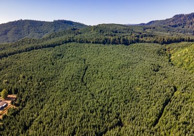 451 DJI 0995 HDR25