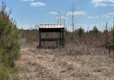 451 IMG 0162