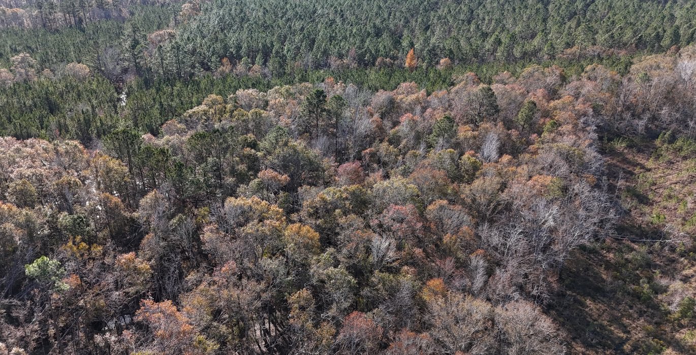 451 dji fly 20241216 140412 0061 1734391511651 photo