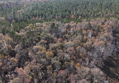 451 dji fly 20241216 140412 0061 1734391511651 photo