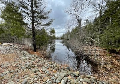 452 2025 04 16 Sherwood Pond viewed from road