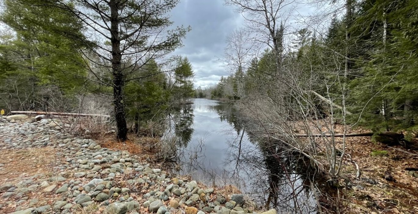 452 2025 04 16 Sherwood Pond viewed from road