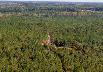 452 AFM Bladen 339 Photo 21