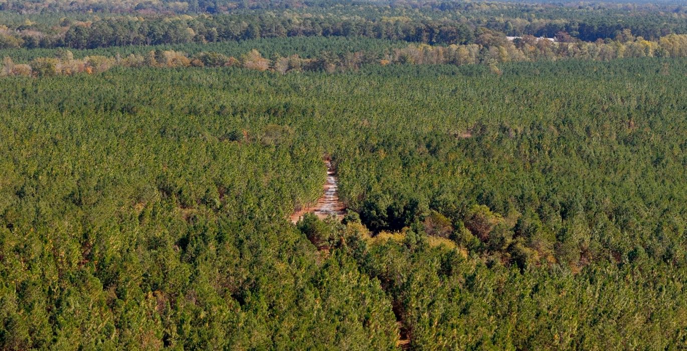 452 AFM Bladen 339 Photo 21