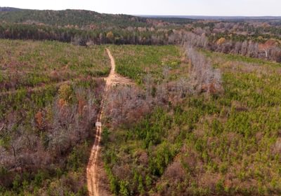 453 AFM Crump Farm Photo 10