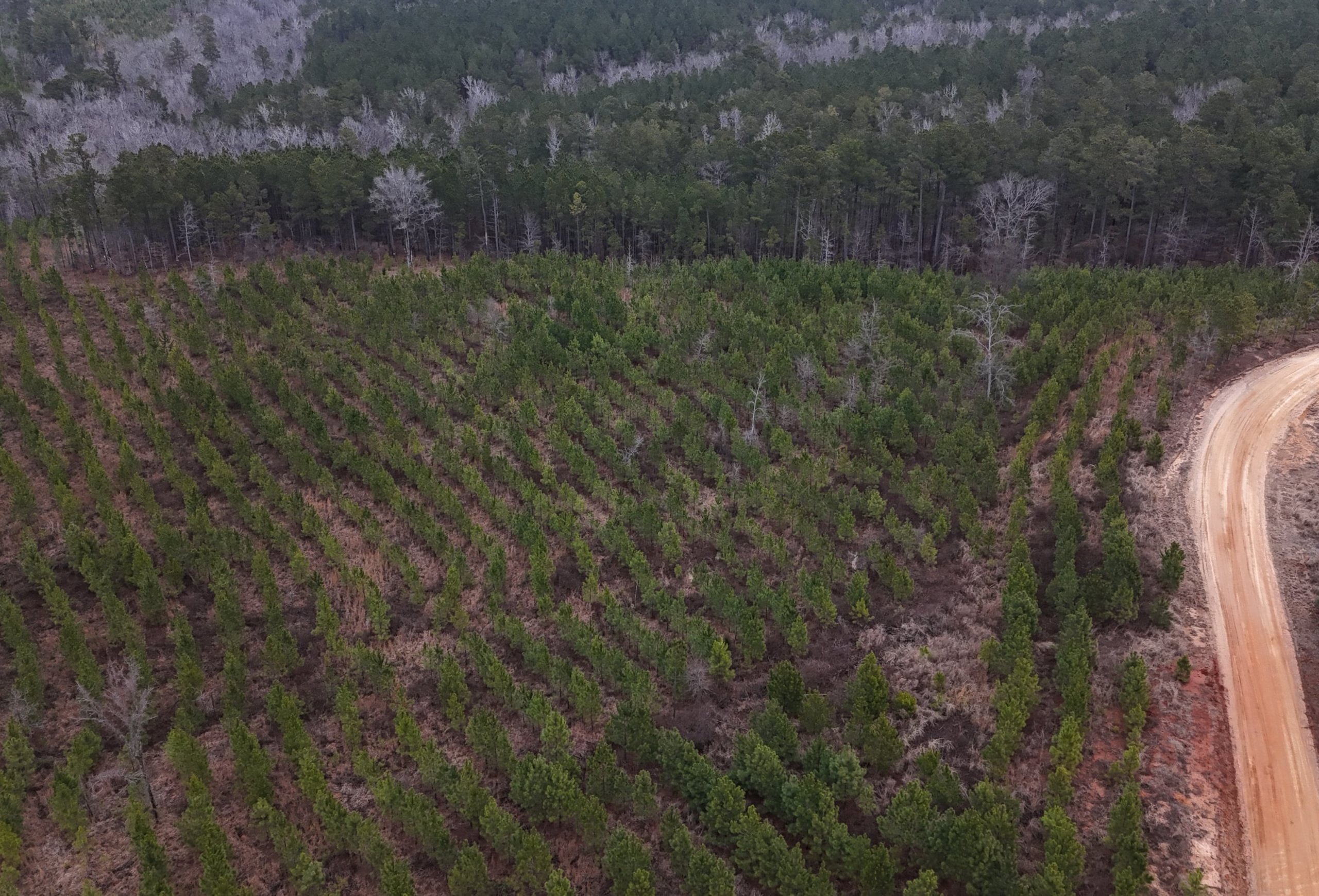 Photo 7 of Chickasaw Pines at Lake Sinclair, 131 acres, Hancock County, Georgia