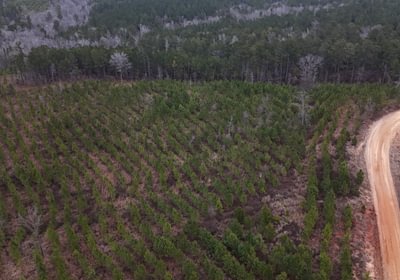 453 DJI 20260205154030 0003 D
