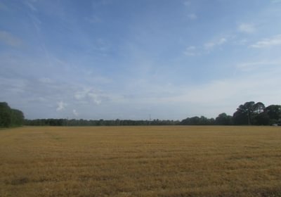 453 IMG 0716