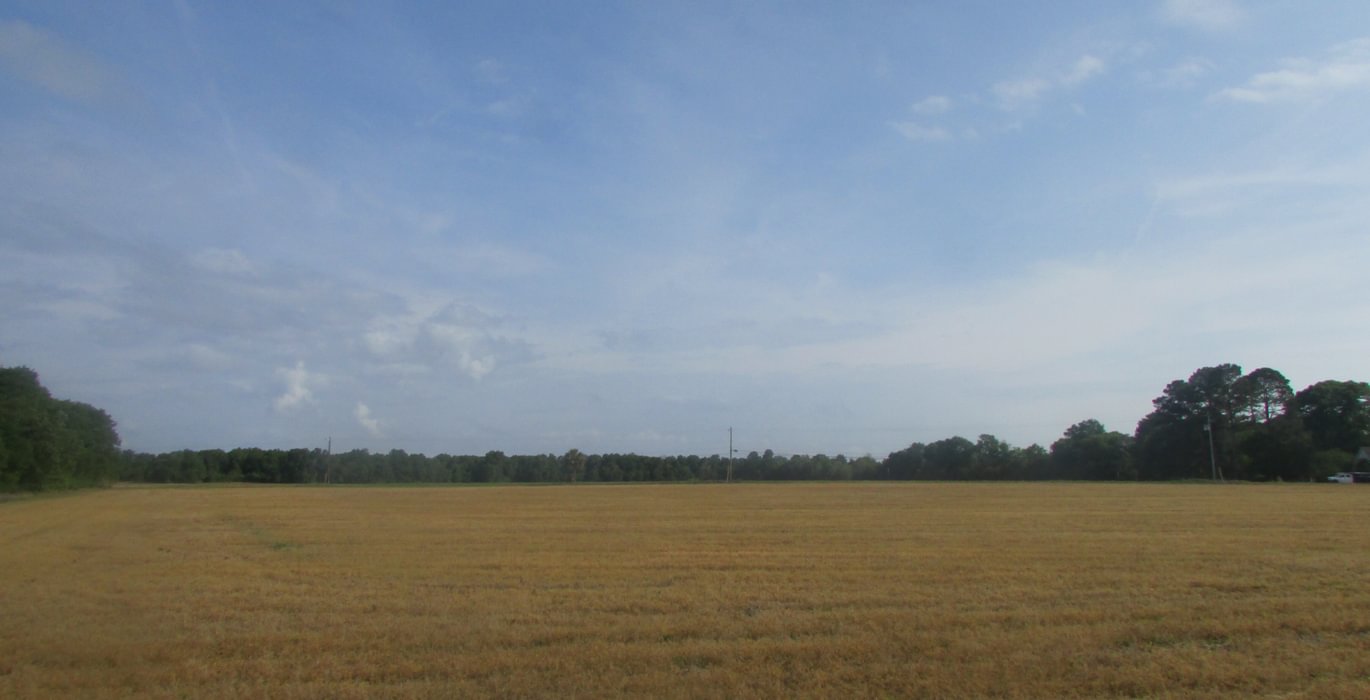 453 IMG 0716