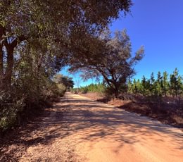 454 gibson roads 7