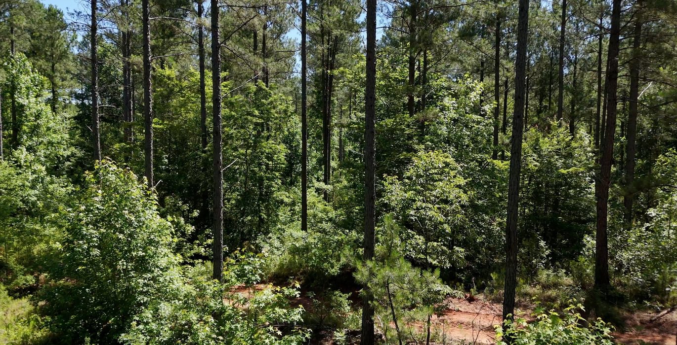 455 Horton Tract Photo 32
