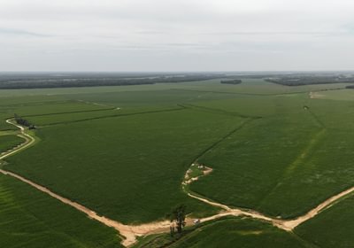 456 DJI 20250618153206 0211 D