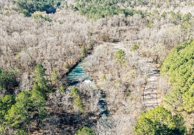 458 DJI 20260316095345 0010 D Medium