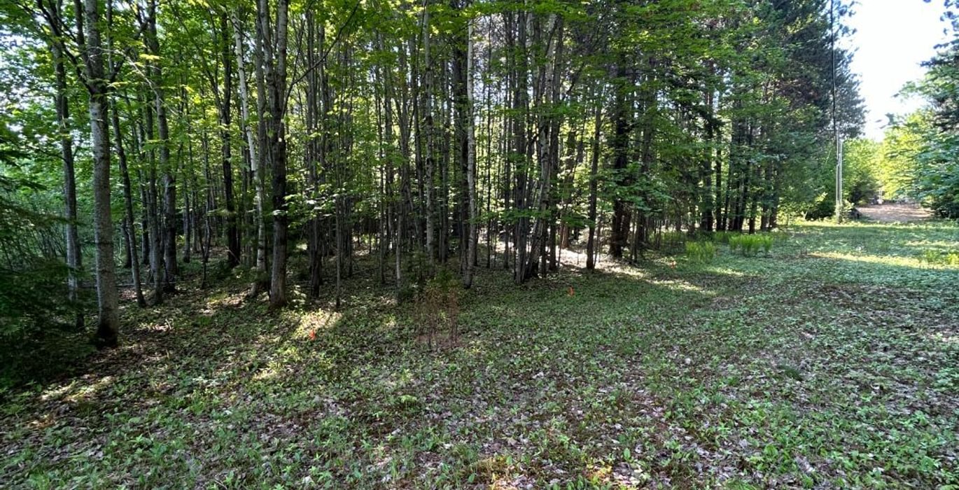 458 IMG 2737