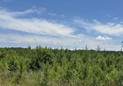 458 IMG 5790