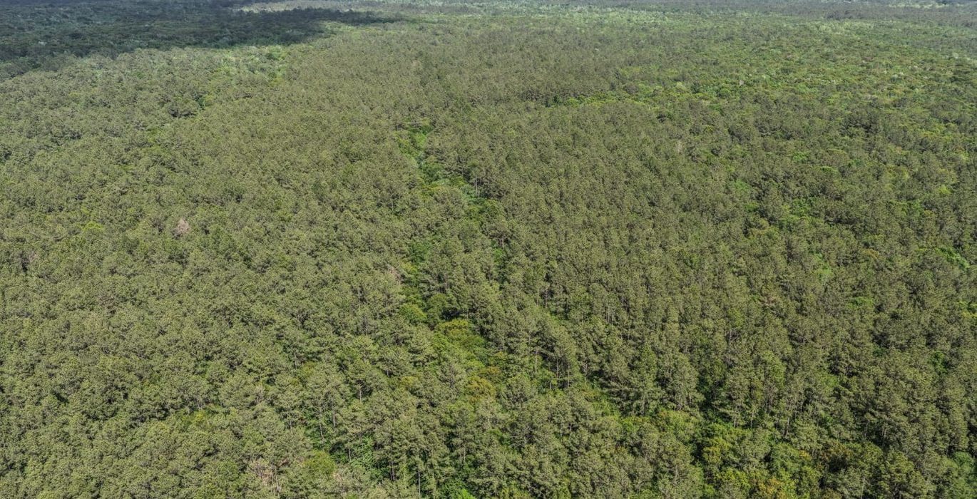 459 DJI 20260415160149 0156 D