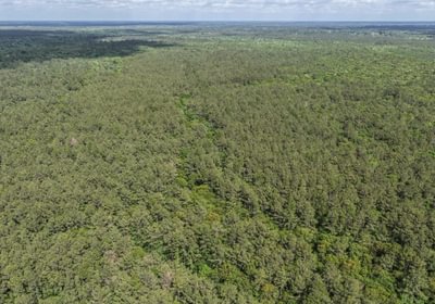 459 DJI 20260415160149 0156 D