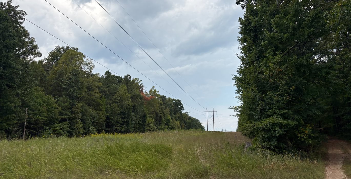 459 IMG 6693