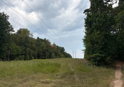459 IMG 6693