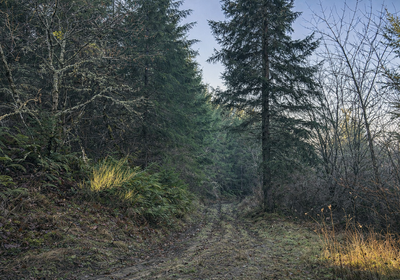 460 Chat GPT Image Jan 13 2026 at 05 09 17 PM