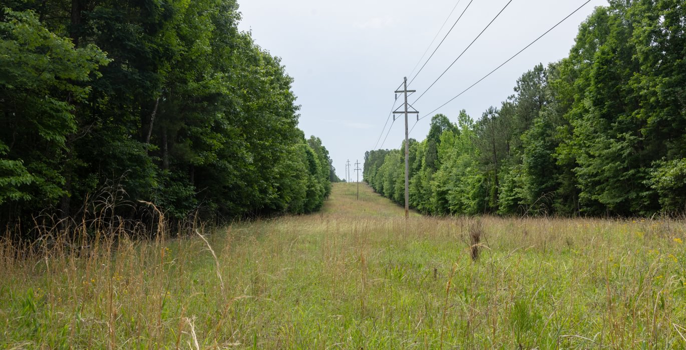 462 796 A0597 1