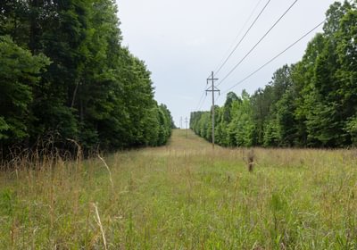 462 796 A0597 1