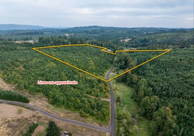 462 Barker 29 overview image