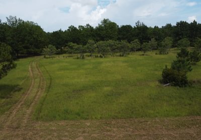 462 DJI 0955