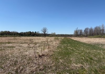 462 IMG 7995