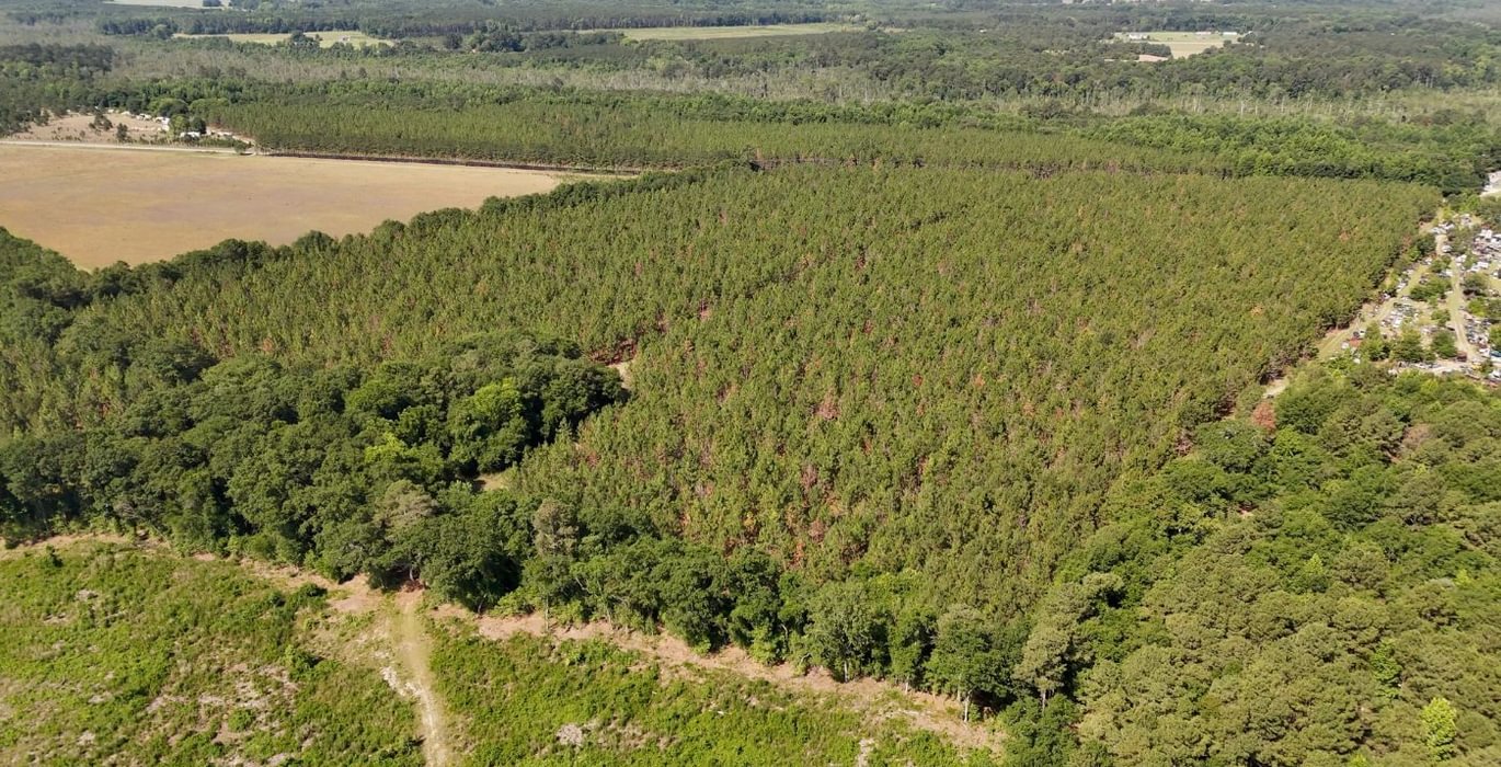 463 Beaverdam Creek Photo 4