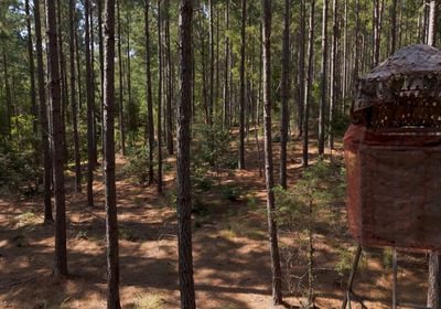 464 Cabin Creek Photo 38
