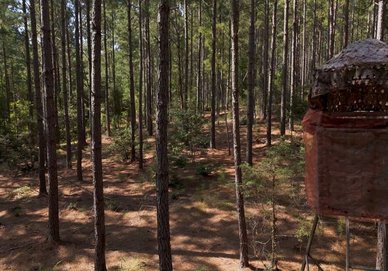 464 Cabin Creek Photo 38