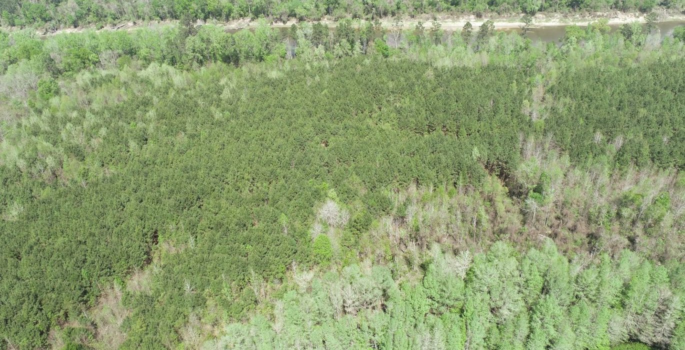 464 DJI 0413