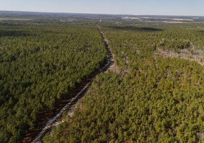 464 DJI 20250120124010 0046 D Enhanced NR 1