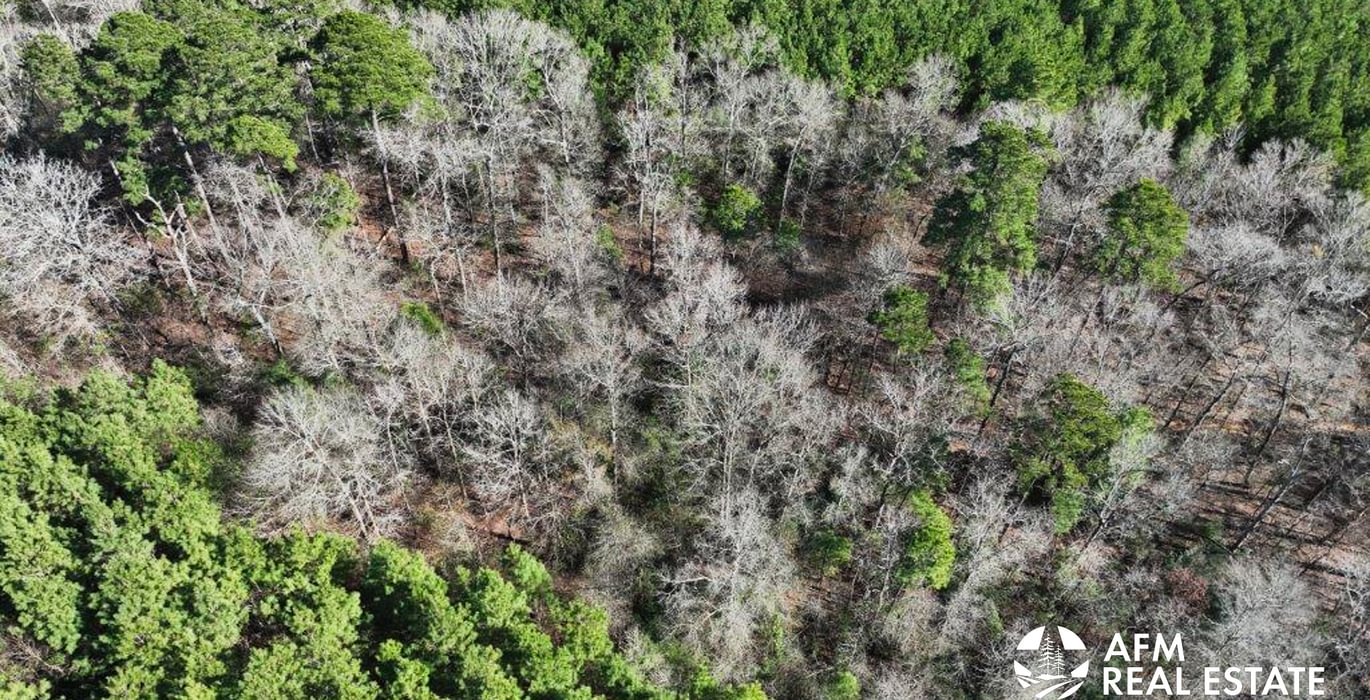 464 DJI 20250201142756 0017 V