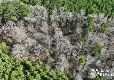 464 DJI 20250201142756 0017 V