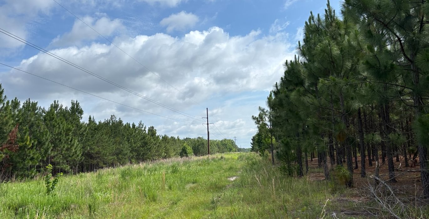 464 IMG 6881