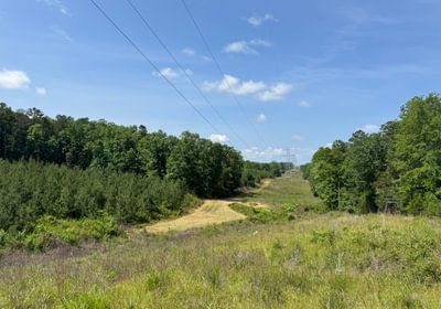 464 IMG 7602
