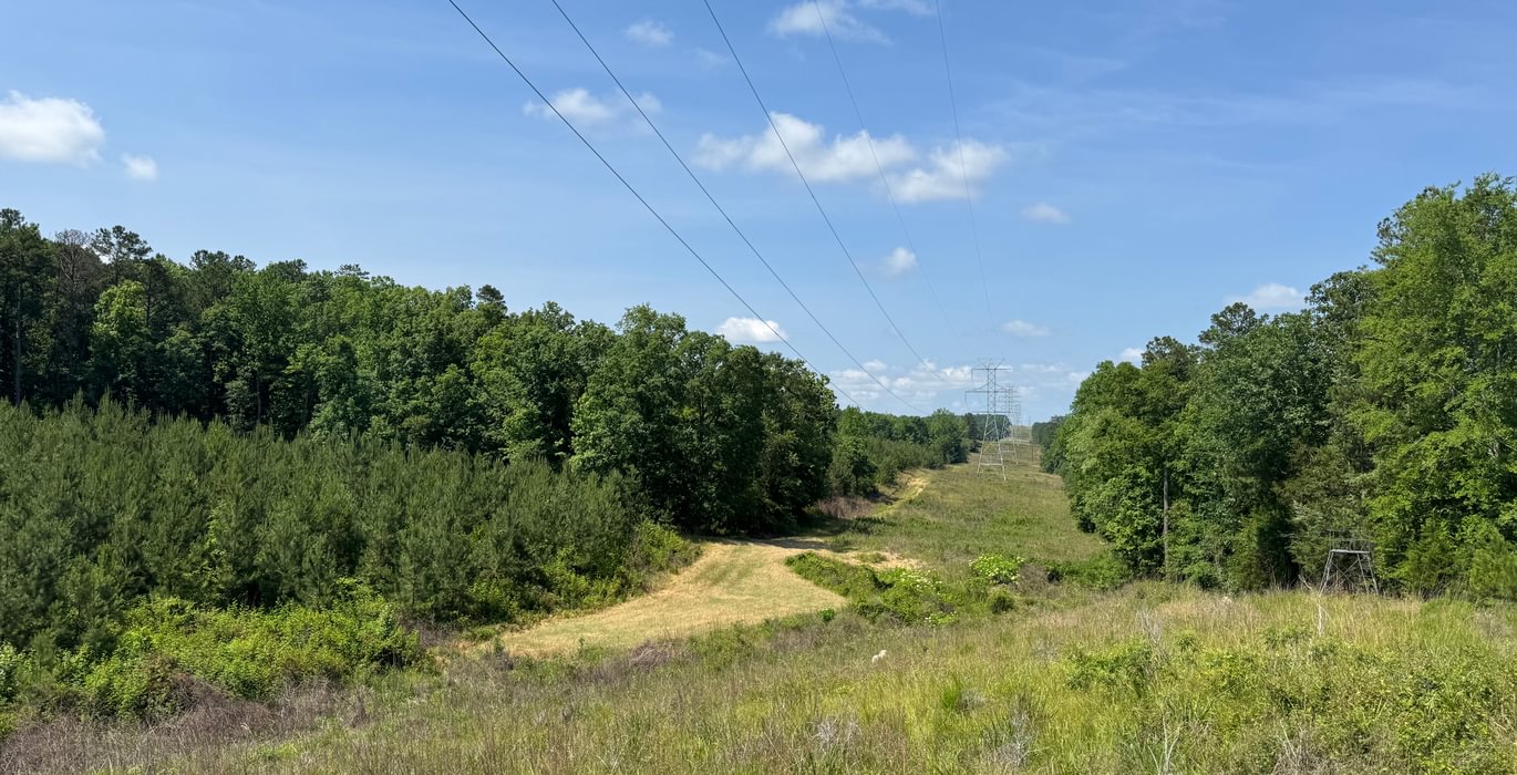 464 IMG 7602