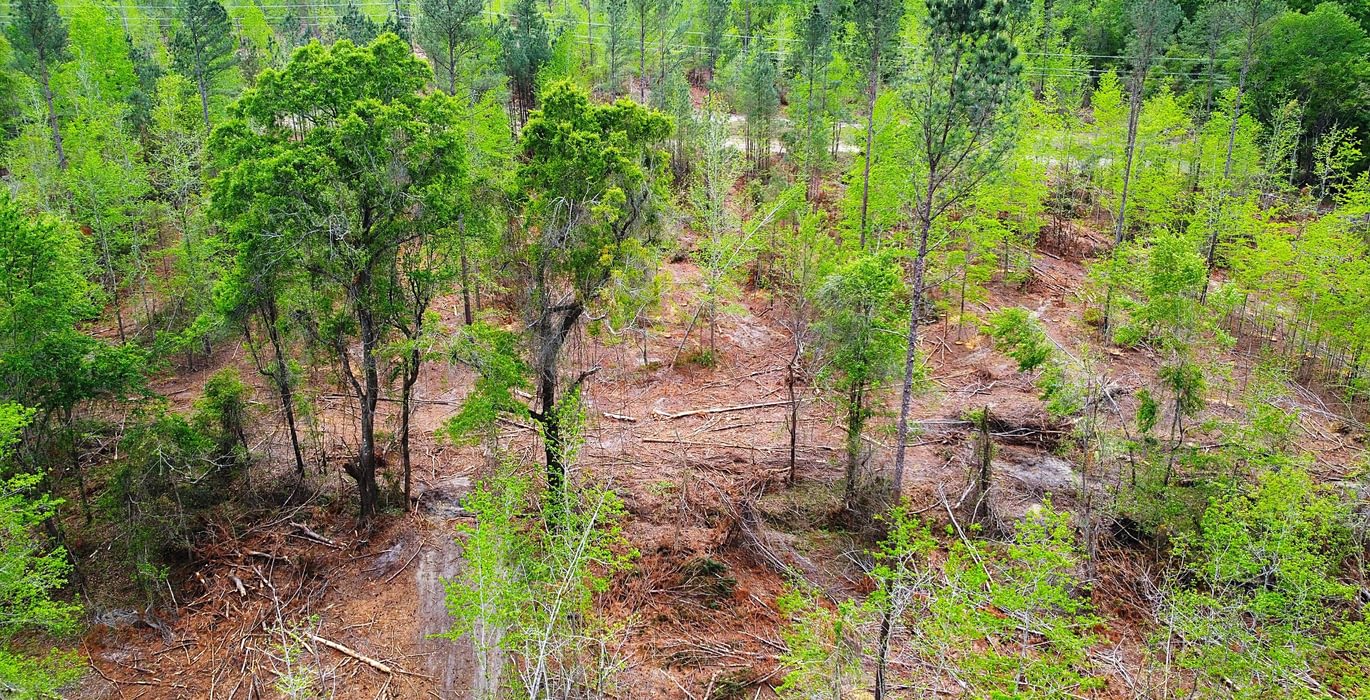 465 dji fly 20260407 145810 221 1775588505522 photo optimized