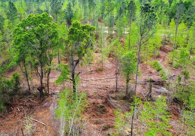 465 dji fly 20260407 145810 221 1775588505522 photo optimized