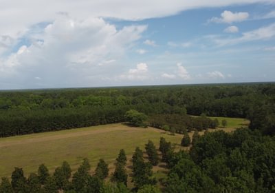 468 DJI 0960