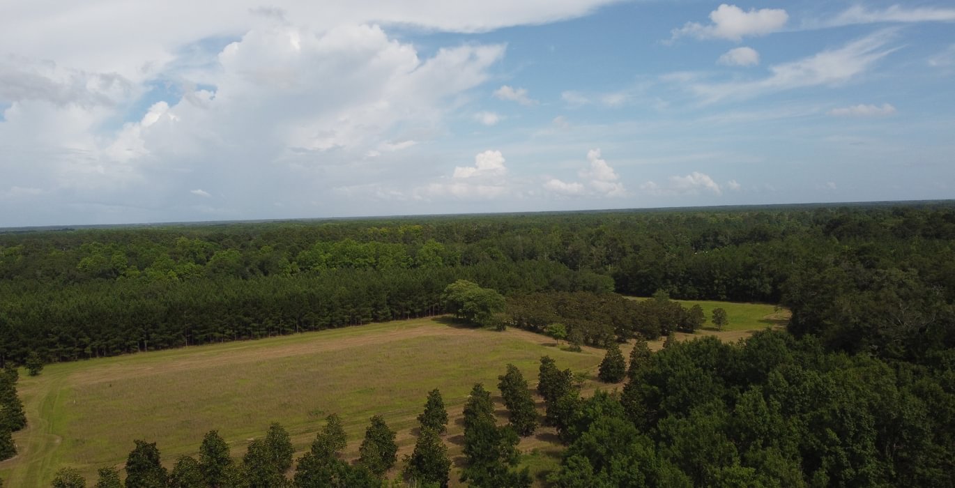 468 DJI 0960