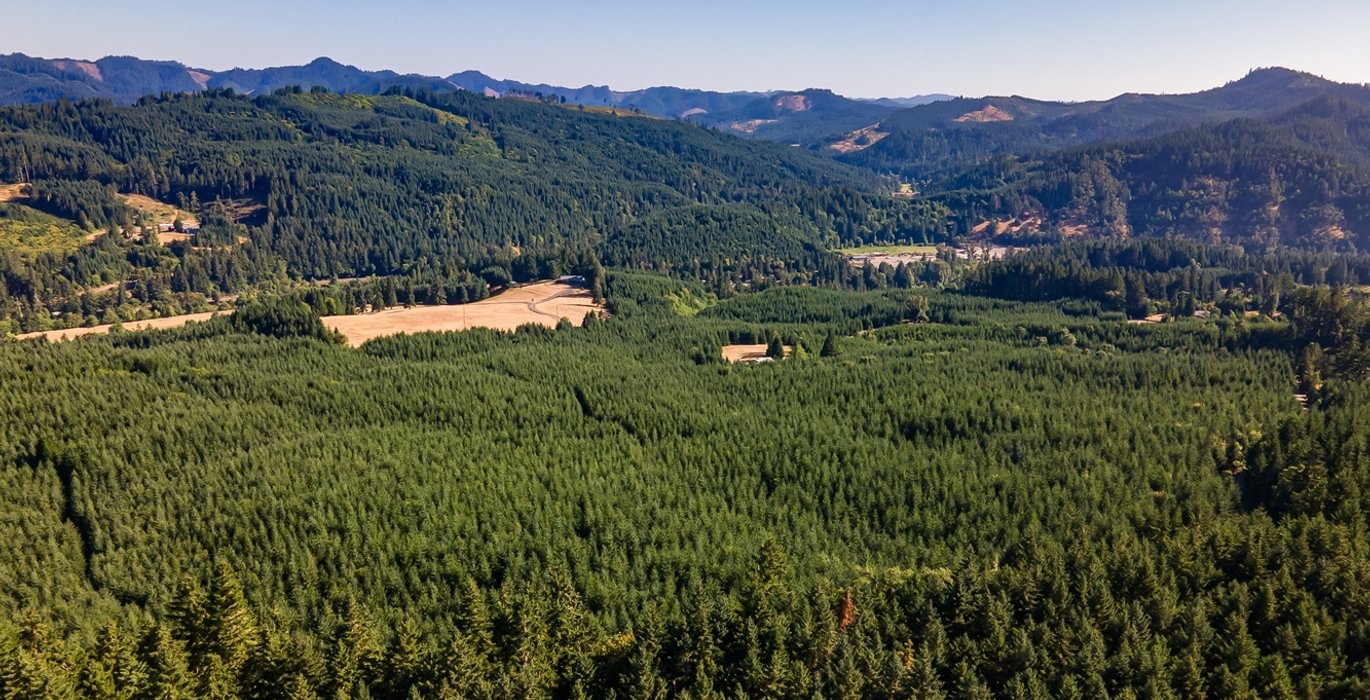 468 DJI 0985 HDR25