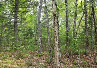469 Land view 7