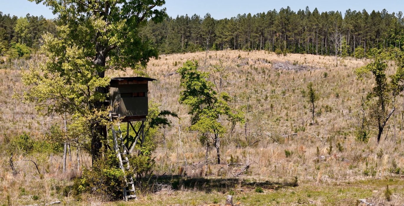 46 AFM Leak Mills Photo 22